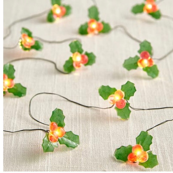 Pier 1  Holly Glimmer 5' LED  String lights - Picture 13 of 15